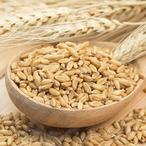 Organic Grains