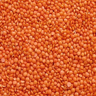 Pulses & Lentils