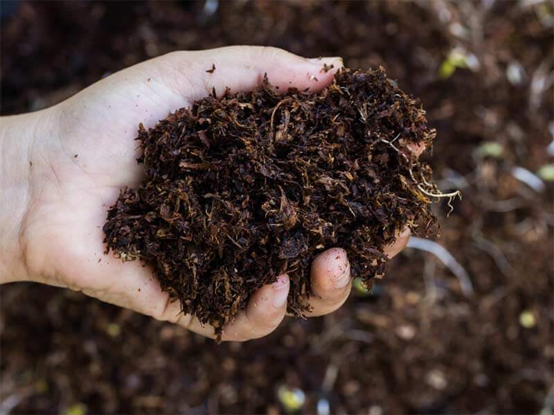 Fertilizers & Pesticides