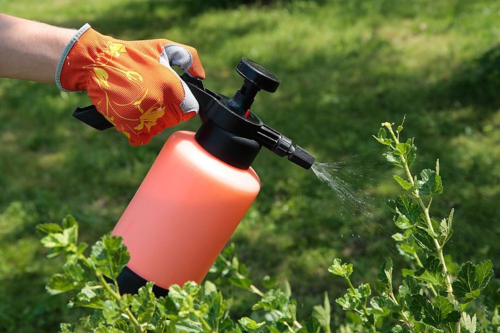 Fertilizers & Pesticides