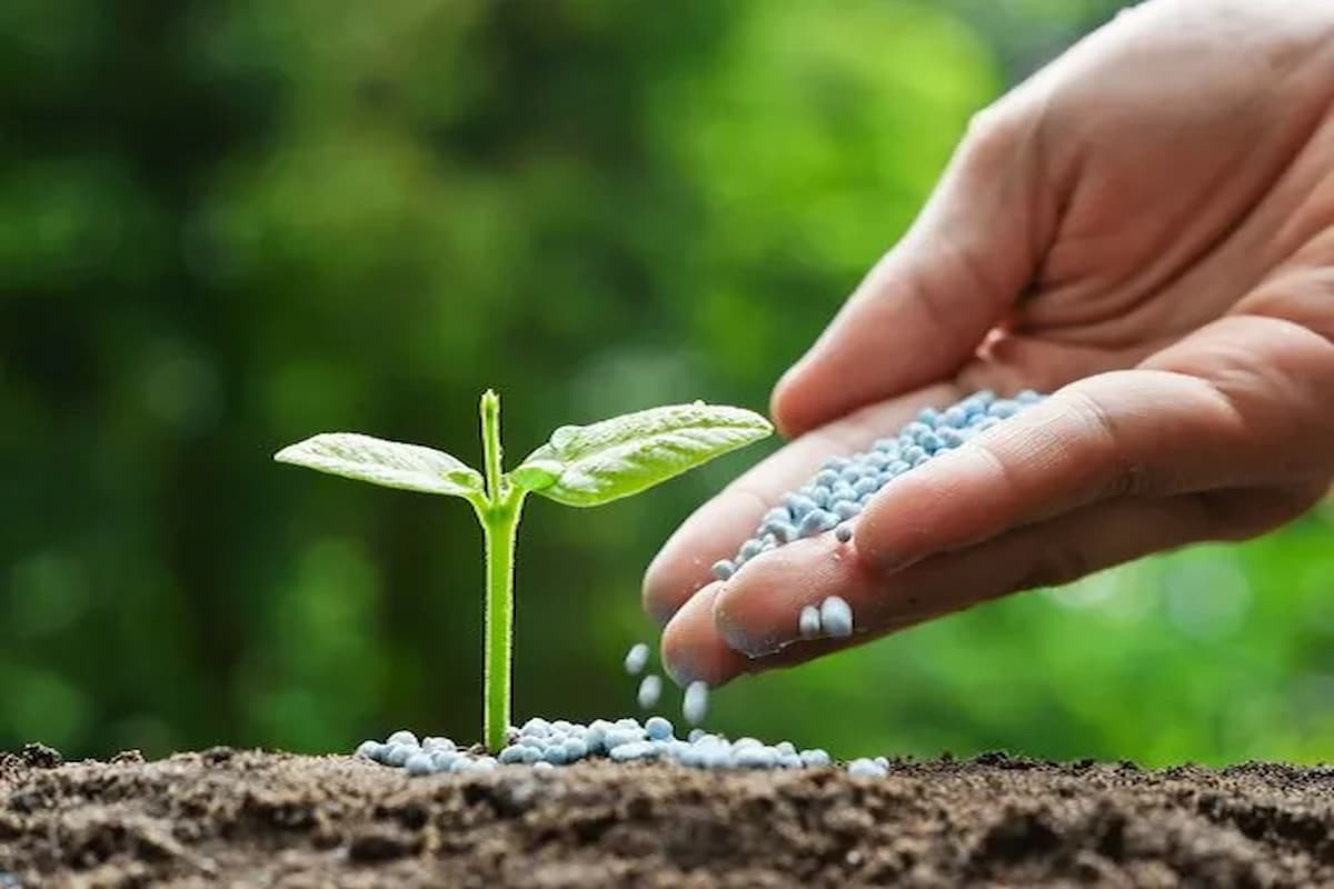 Fertilizers & Pesticides